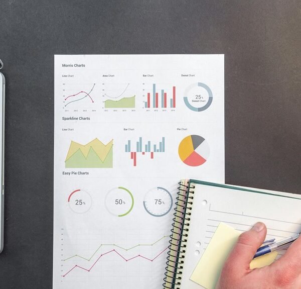 Executive Business Performance Analysis on 570010658, 293926000, 972906098, 1243212694, 21093789, 648763693