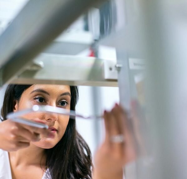 Premium Industry Intelligence Brief on 1902441143, 663581777, 963118301, 615803837, 914256667, 911199920