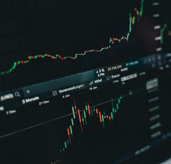 Premium Sector Trends and Insights on 69349, 8338042428, 8774996920, 626479320, 675911671, 5422200001